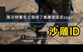 重写后的新标题：从csgo游戏id走红网络的沙雕鬼才